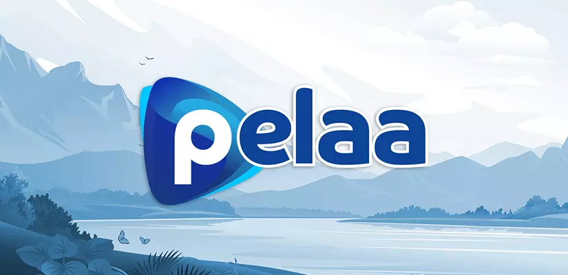 Pelaa Casino App Intro