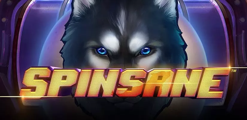 Spinsane Slot Review