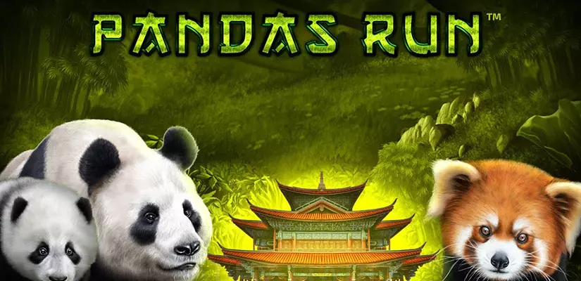 Panda's Run Slot Review
