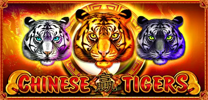 Chinese Tigers Slot Review