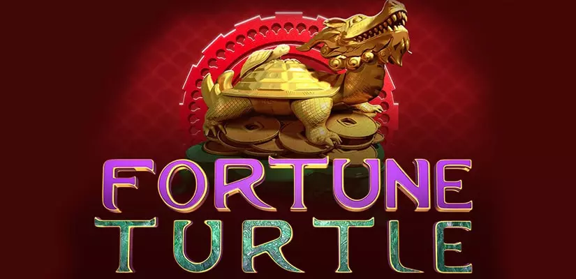 Fortune Turtle Slot Review