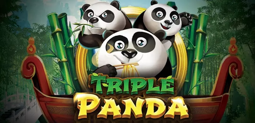 Triple Panda Slot Review