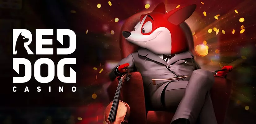 Red Dog Casino App Intro