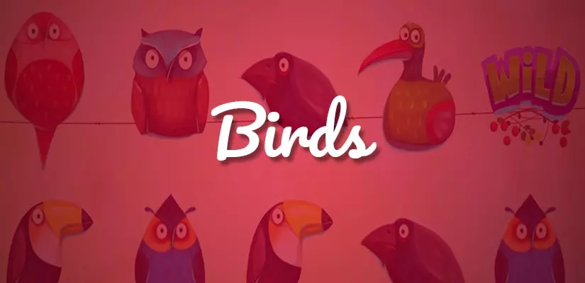 Birds Slot Review