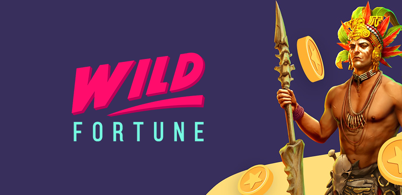 Wild Fortune Casino App Intro