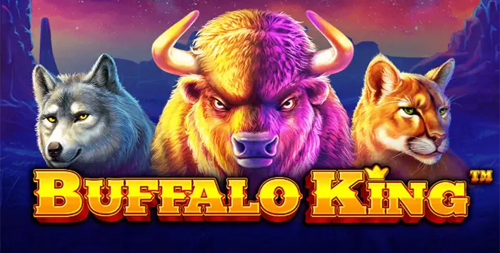 Buffalo King