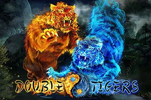 Double Tigers slot