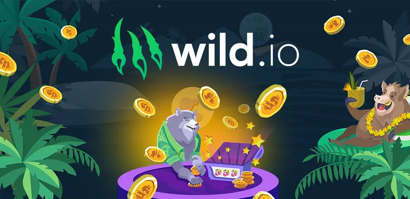 Wild Casino App Intro