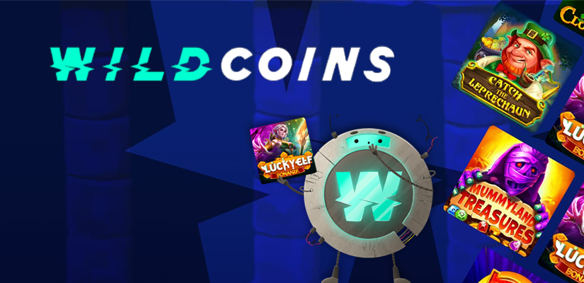 Wildcoins Casino App Intro